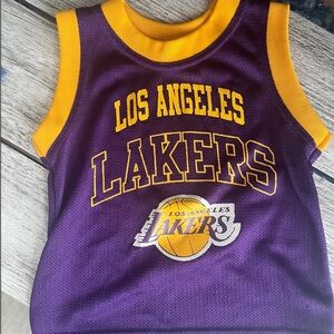 Los Angeles Lakers toddler Jersey - Purple and Gold